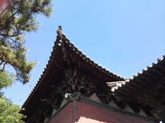 -善化寺