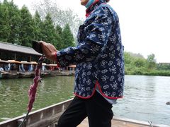 -溱湖国家湿地公园