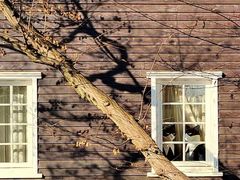 -三鹰之森吉卜力美术馆