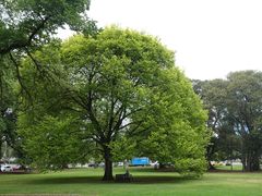 景点-墨尔本皇家植物园