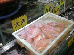 -珠光市场(文德南路)