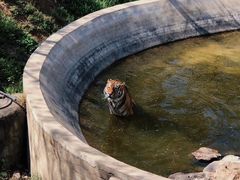 -石家庄市动物园