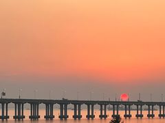 -宝安西湾红树林湿地公园