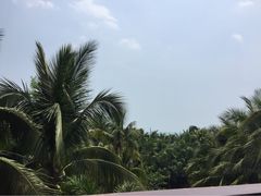 三亚湾海居铂尔曼度假酒店-三亚湾海居铂尔曼度假酒店