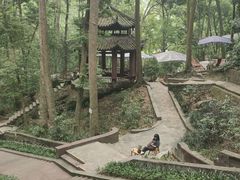 -都江堰普照寺
