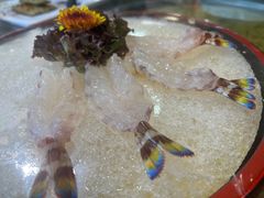 -绿雅居原生态农庄(小涌店)