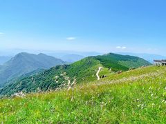 -白草畔自然风景区