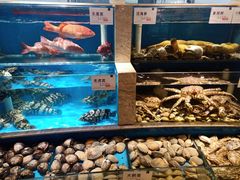 -福娣·金沙银贝海鲜火锅