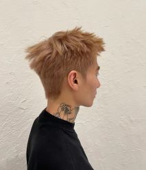 点击看大图 -PE SALON