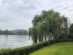 -浙江西子宾馆·瑶园咖啡厅