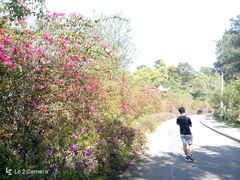 -白云山风景名胜区
