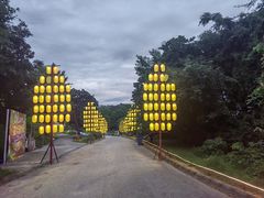 -大塘金香草谷