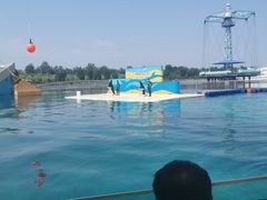 -秦皇岛乐岛海洋王国