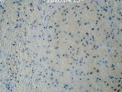 -新隆嘉供销超市(青岛瑞昌路店)