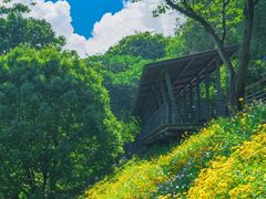 -西湖风景区-江洋畈生态公园