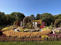 -上海共青森林公园