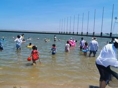 -碧海金沙