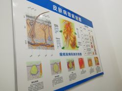 -荟草堂痘肌修护中心