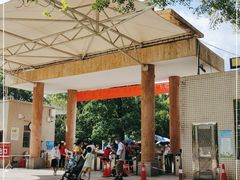 -广东茂名森林公园