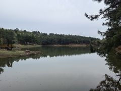 -南京市无想山景区