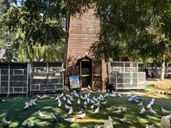 -长白岛森林公园