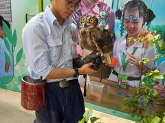 -广州长隆飞鸟乐园