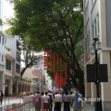 第一次来溜达溜达看看