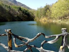-洛阳白云山景区