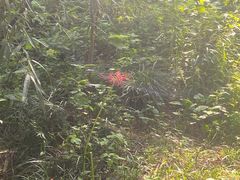 -狼山风景名胜区