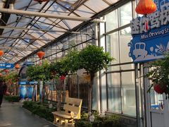 -南宫五洲植物乐园