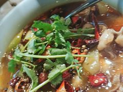 馋嘴牛蛙-辛香汇(飞洲店)