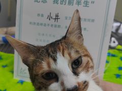 -安安宠医安欣宠物医院