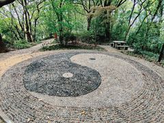 -上海佘山国家森林公园天马山园