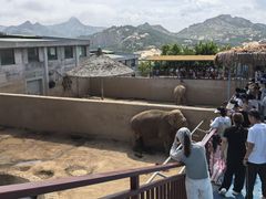 -西霞口神雕山野生动物世界