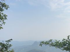 -鲁山国家森林公园