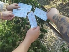 -合肥滨湖国家森林公园