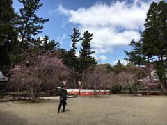-醍醐寺