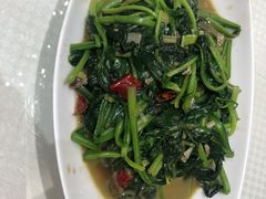 -双井轩(双井店)