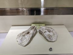 -蚝家菜馆(沙井店)
