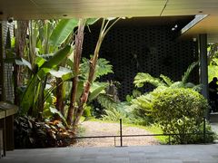 -云溪植物园