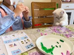 -喵zoo家庭繁育猫舍(尖东智能花园店)
