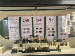 -广东中医药博物馆