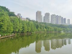 -重庆彩云湖湿地公园