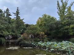 -秋霞圃
