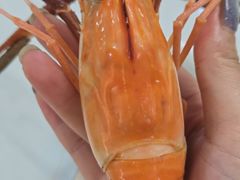 -七的湖·晚芳亭·阳澄湖农家菜·大闸蟹(莲花岛店)