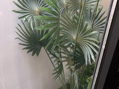 -广州北京路步行街公园前地铁站宜致美居