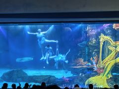 -海合安成都极地海洋公园