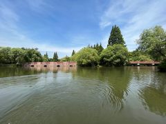 -上海滨江森林公园
