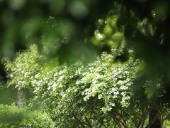 -尚贤河湿地