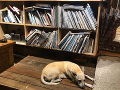 -阿飞冲浪旅店一馆